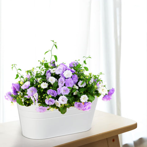 Foraineam detachable hook length of 5.3 inches supports flexible mounting.