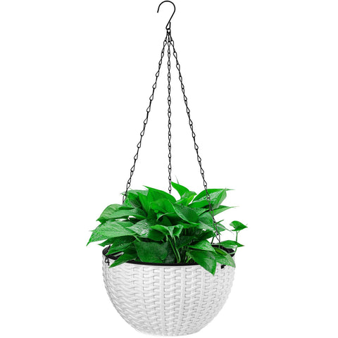 Foraineam indoor-outdoor ready planter suits porches and offices.