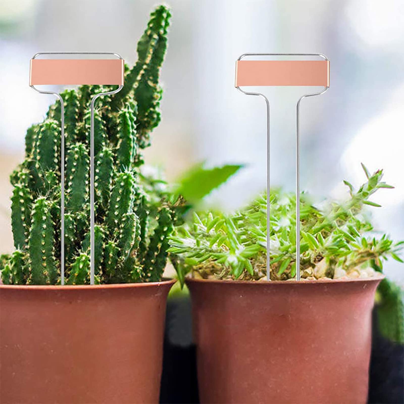 Foraineam metal plant marker 10in ideal for pots and borders.