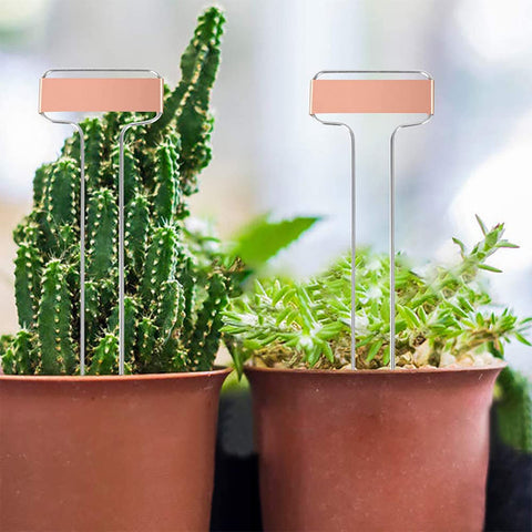 Foraineam metal plant marker 10in ideal for pots and borders.
