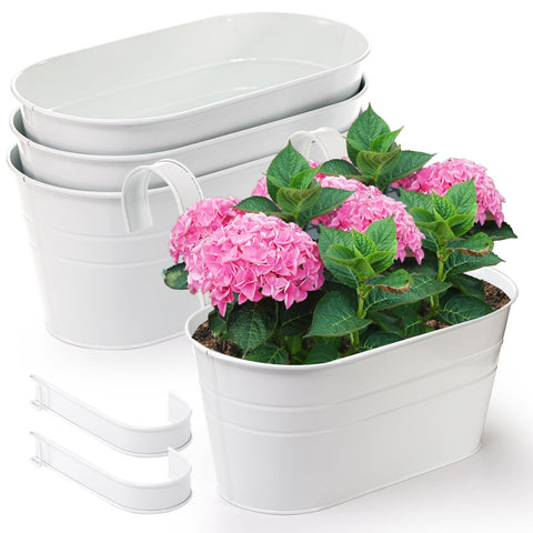 Foraineam planter dimensions shown for placement planning (10.6 x 5.5 x 4.7 inches).