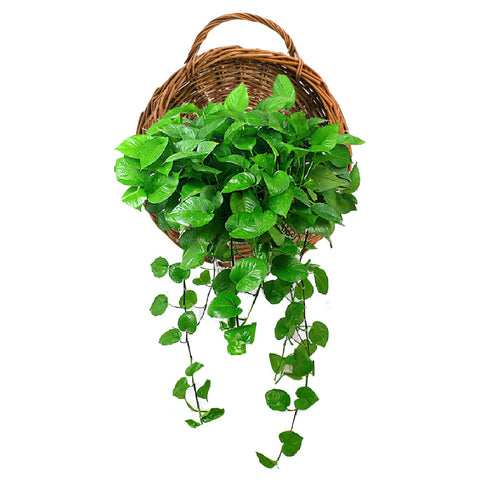 Foraineam rattan hanging planter with breathable liner supports healthy moisture for plants.