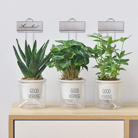 Foraineam writable metal signs ideal for seedlings and herbs.