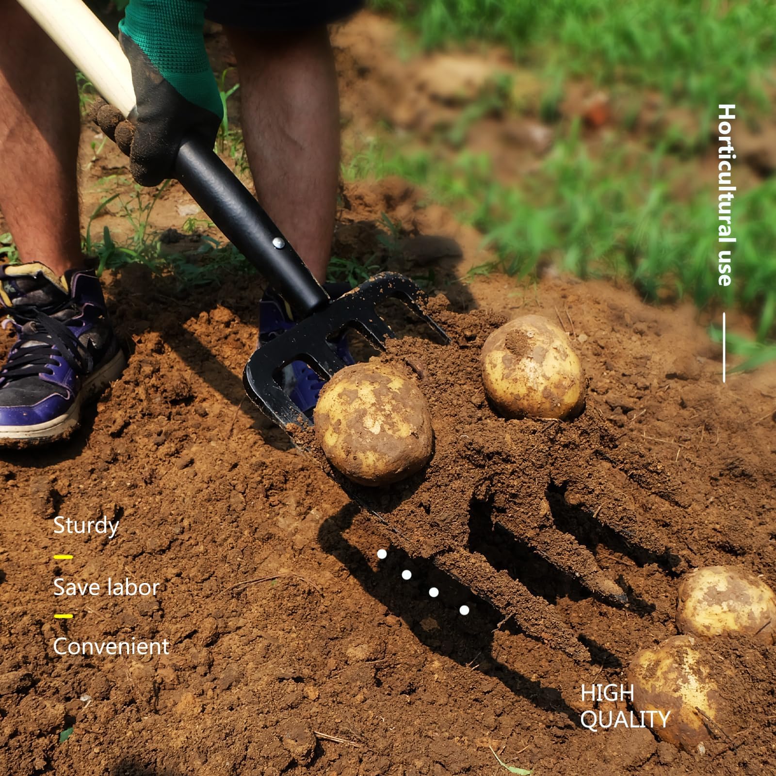 FORCOLID garden fork ideal for potatoes and garlic digging
