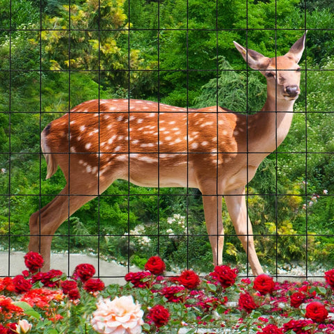 FOREHOGAR durable fencing for chicken coops, deer fencing, and garden supports.