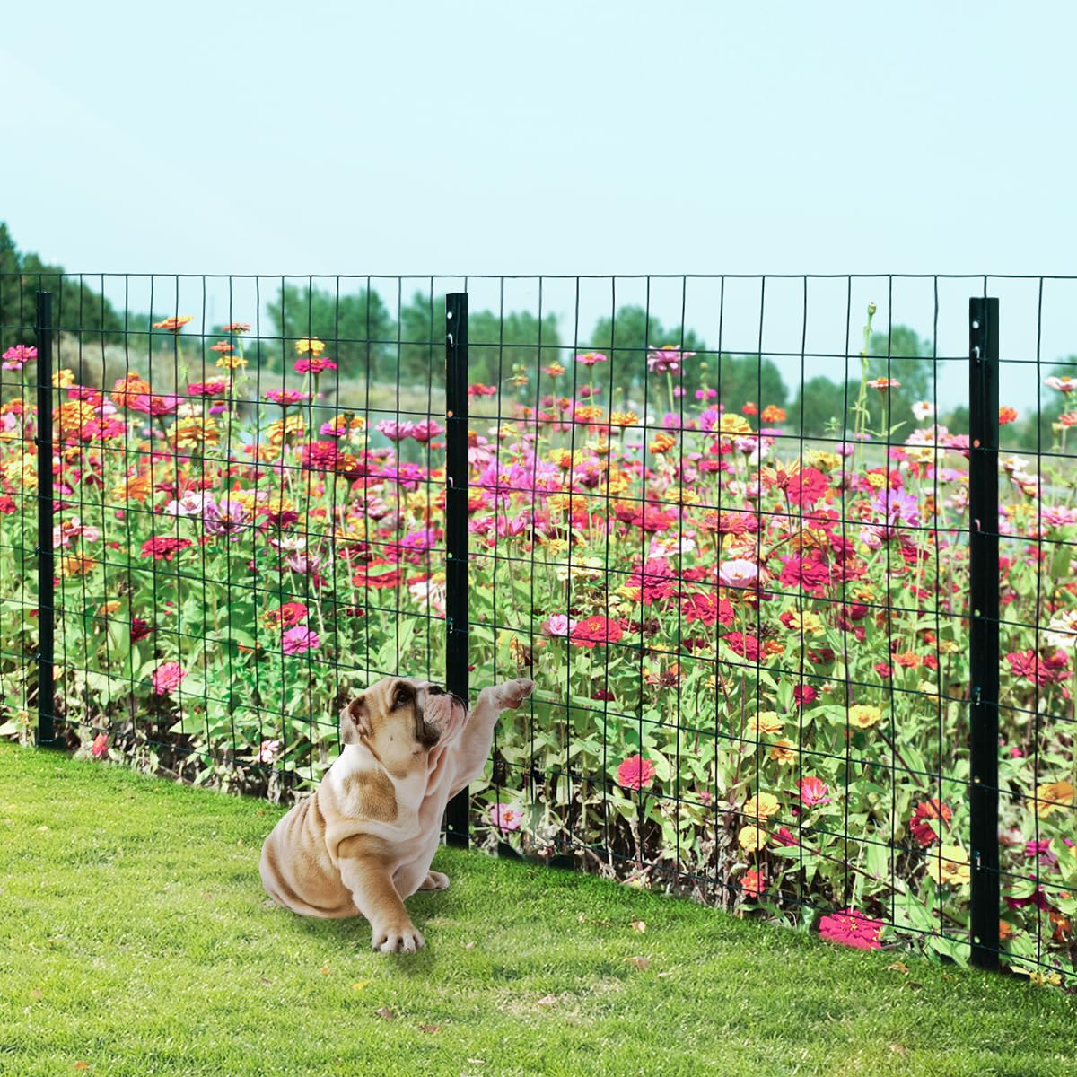 FOREHOGAR versatile fence stakes for borders, gardens, and light-duty enclosures.