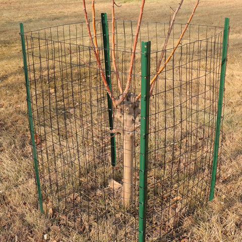 FOREHOGAR versatile fencing doubles as pet enclosures and temporary garden borders.