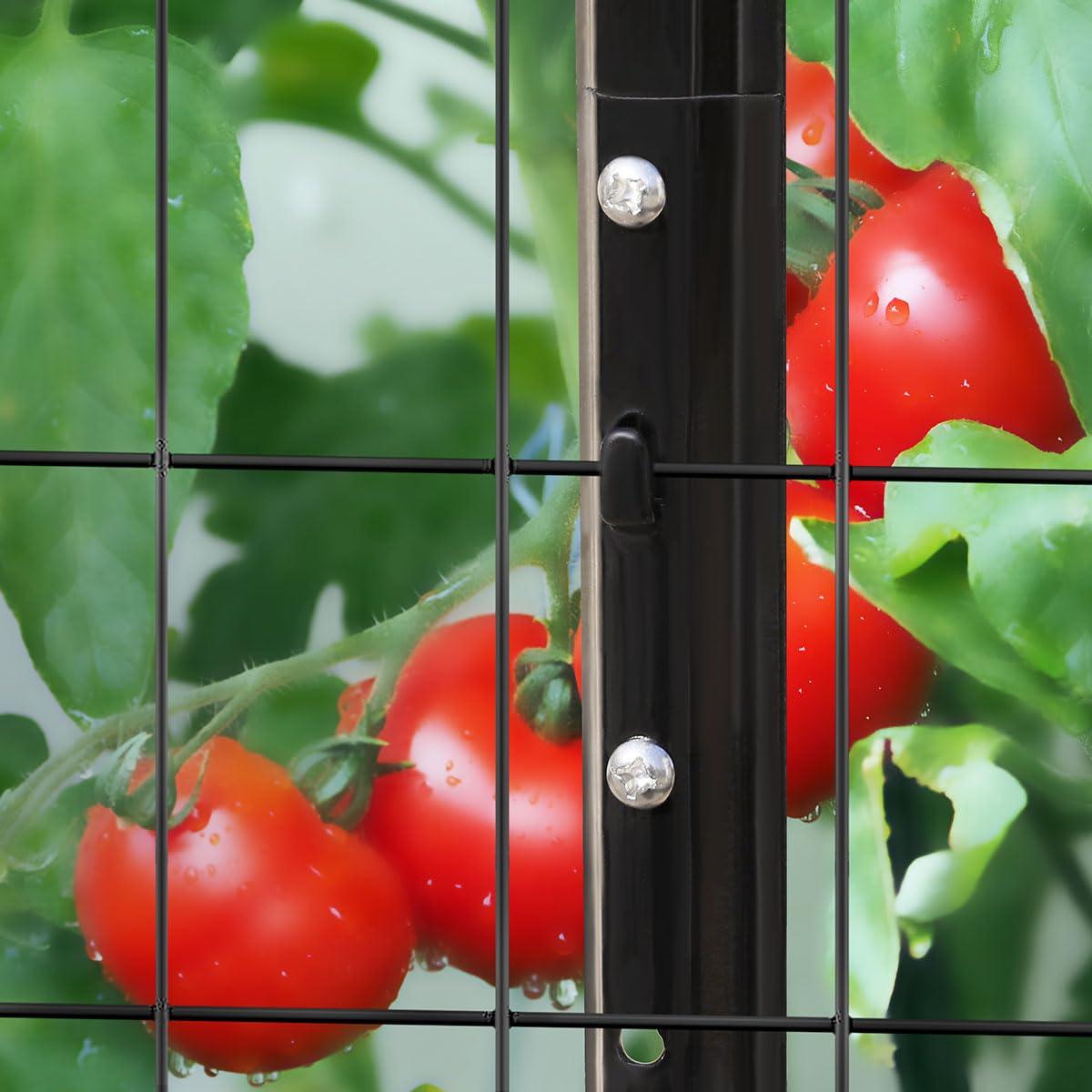 FOREHOGAR durable T-post for chicken wire, dogs, and plant borders.