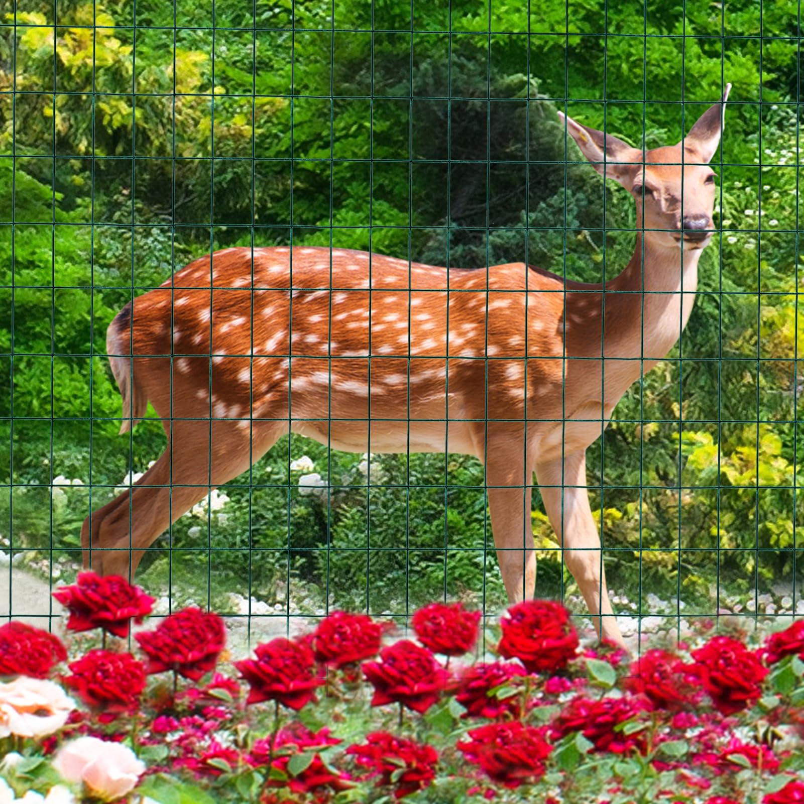 FOREHOGAR green fence blends with landscaping and protects plantings