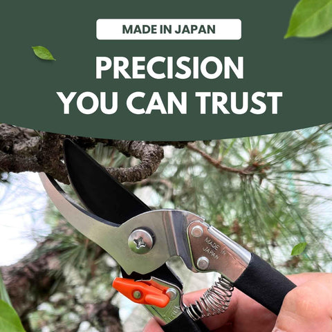 Saboten shears with fluorine-coated blade for reduced sap buildup