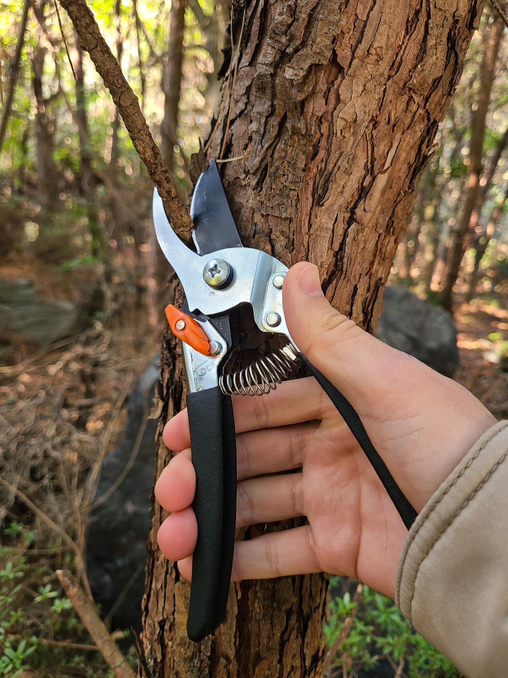 Saboten pruning shears in garden use for versatile pruning tasks