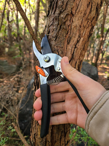 Saboten pruning shears in garden use for versatile pruning tasks