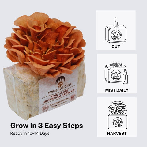 Forest Origins pink oyster mushrooms in a pasta dish, showcasing gourmet versatility