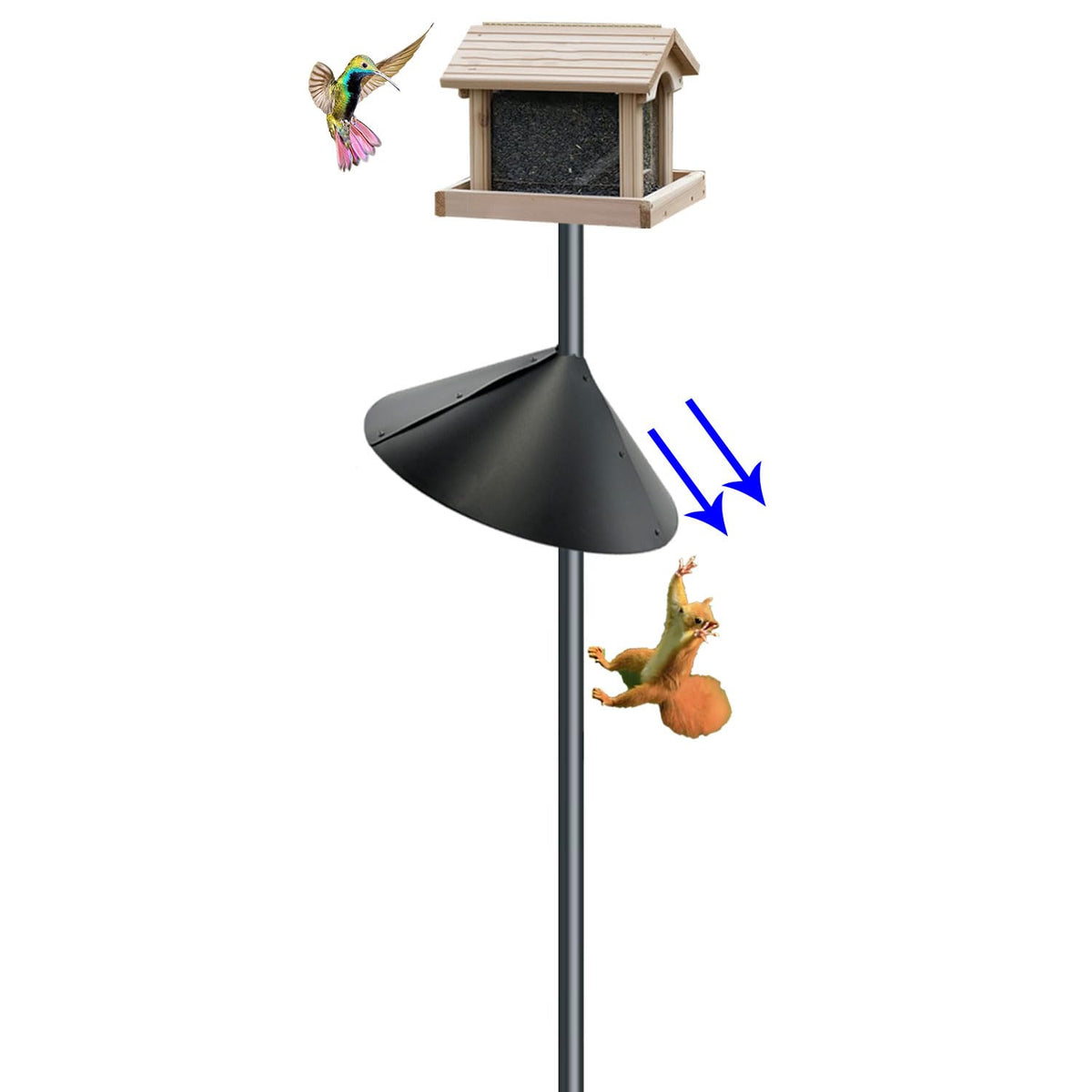 Forever Song squirrel baffle on pole blocks climbs and protects feeders.