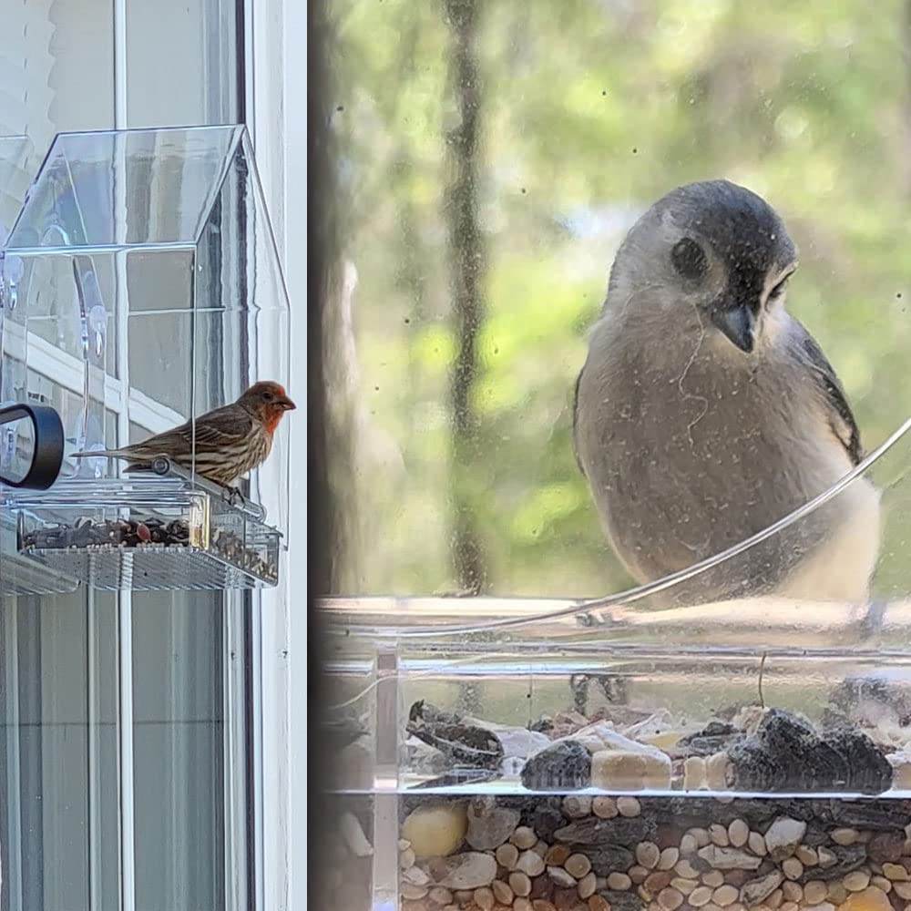 Forfuture-go window mount design enables easy placement and secure mounting.