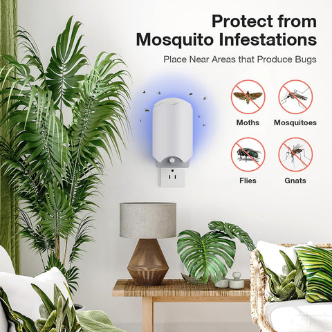 Forhimn fly trap indoor side view near kitchen counter showing compact setup