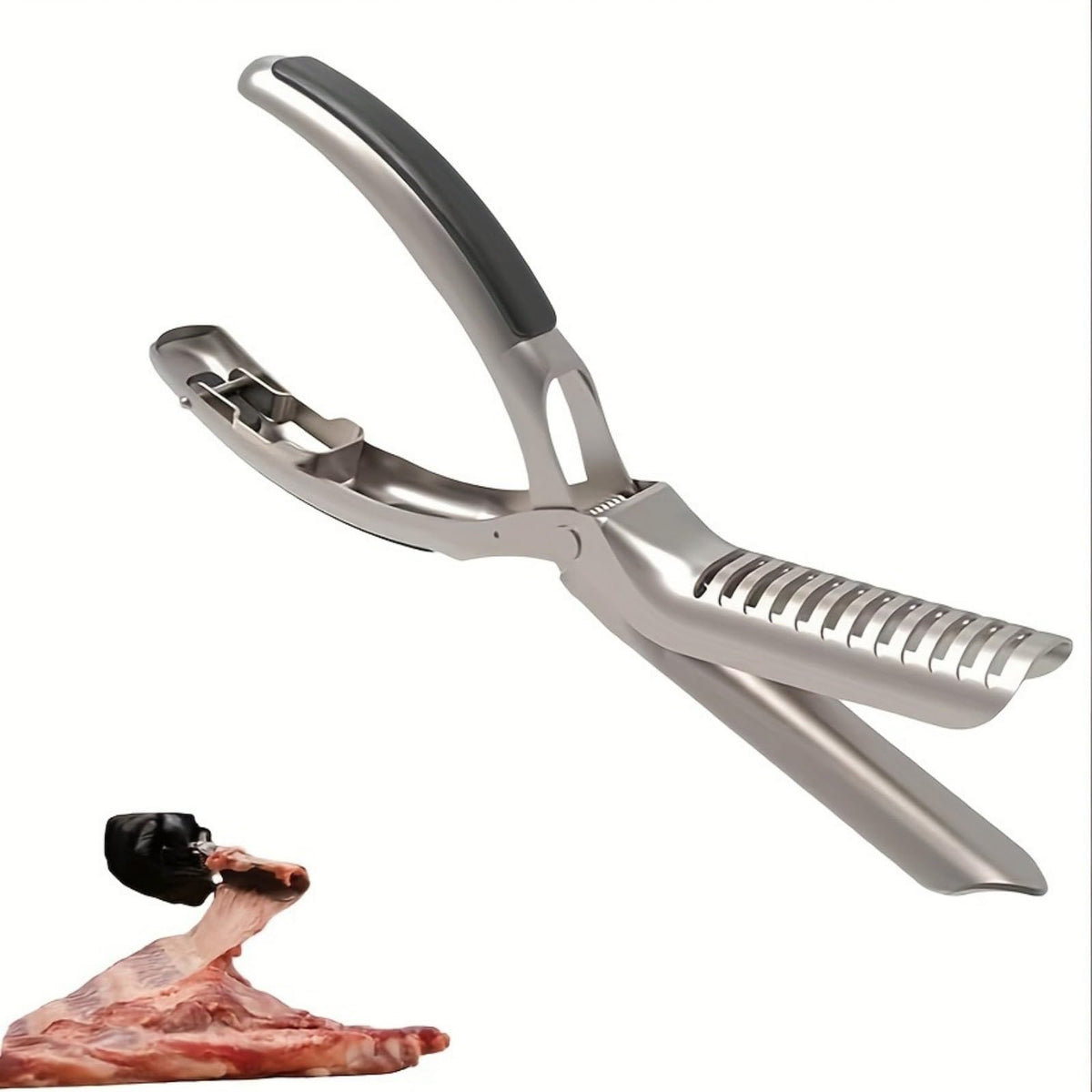 FORTUVA rib membrane removal tool with ergonomic blade for easy rib prep.