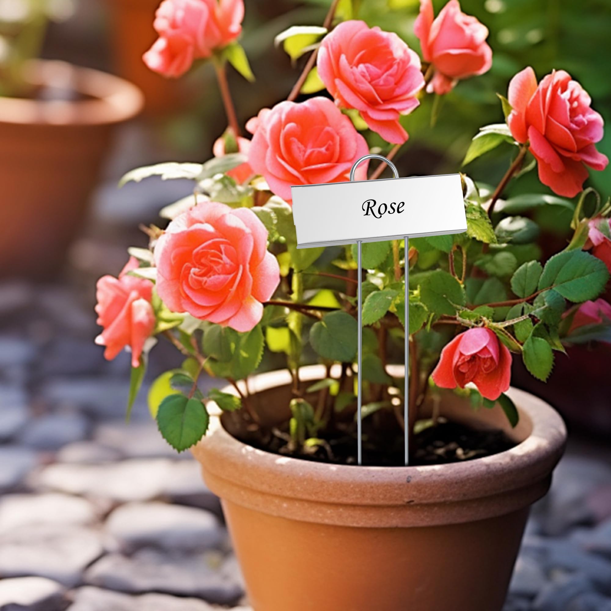 FORUP organization-ready labels for seeds, varieties, and dates