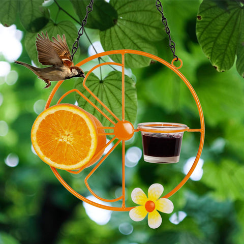 Forup Oriole Bird Feeder clear jelly cup allows quick monitoring and refilling.