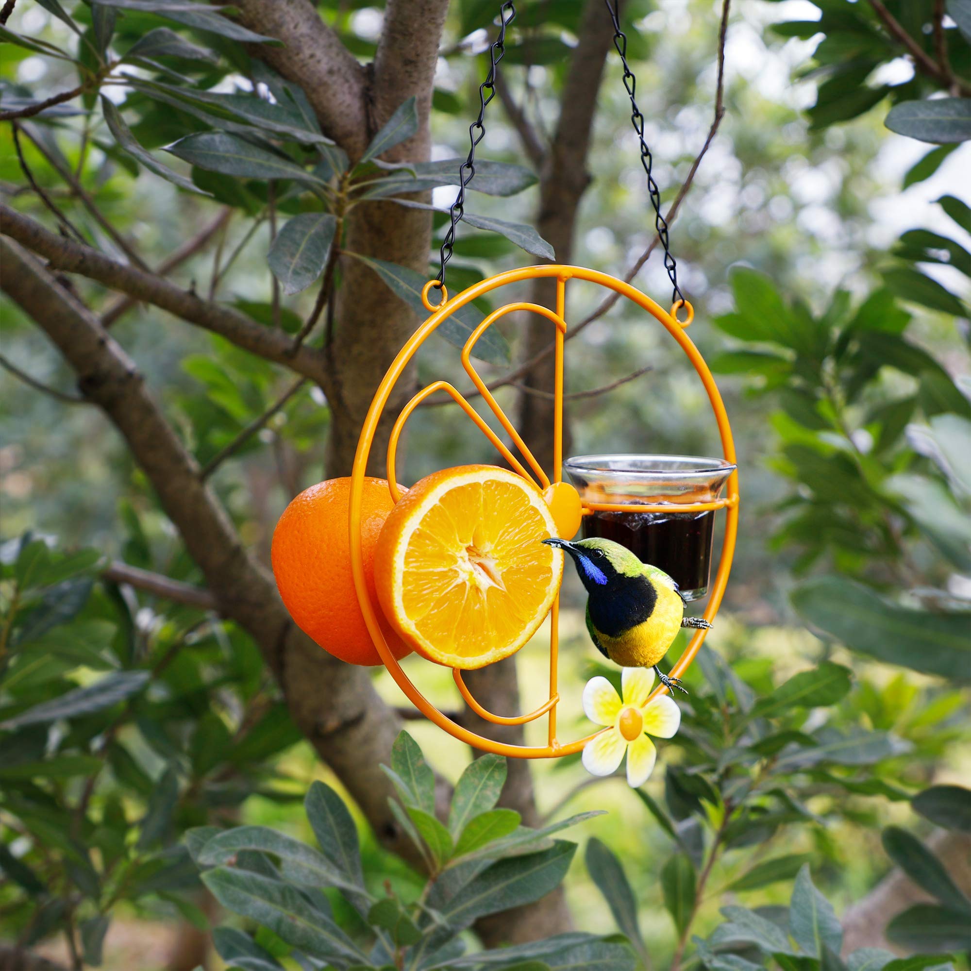 Forup Oriole Bird Feeder durable metal frame stands up to the outdoors.