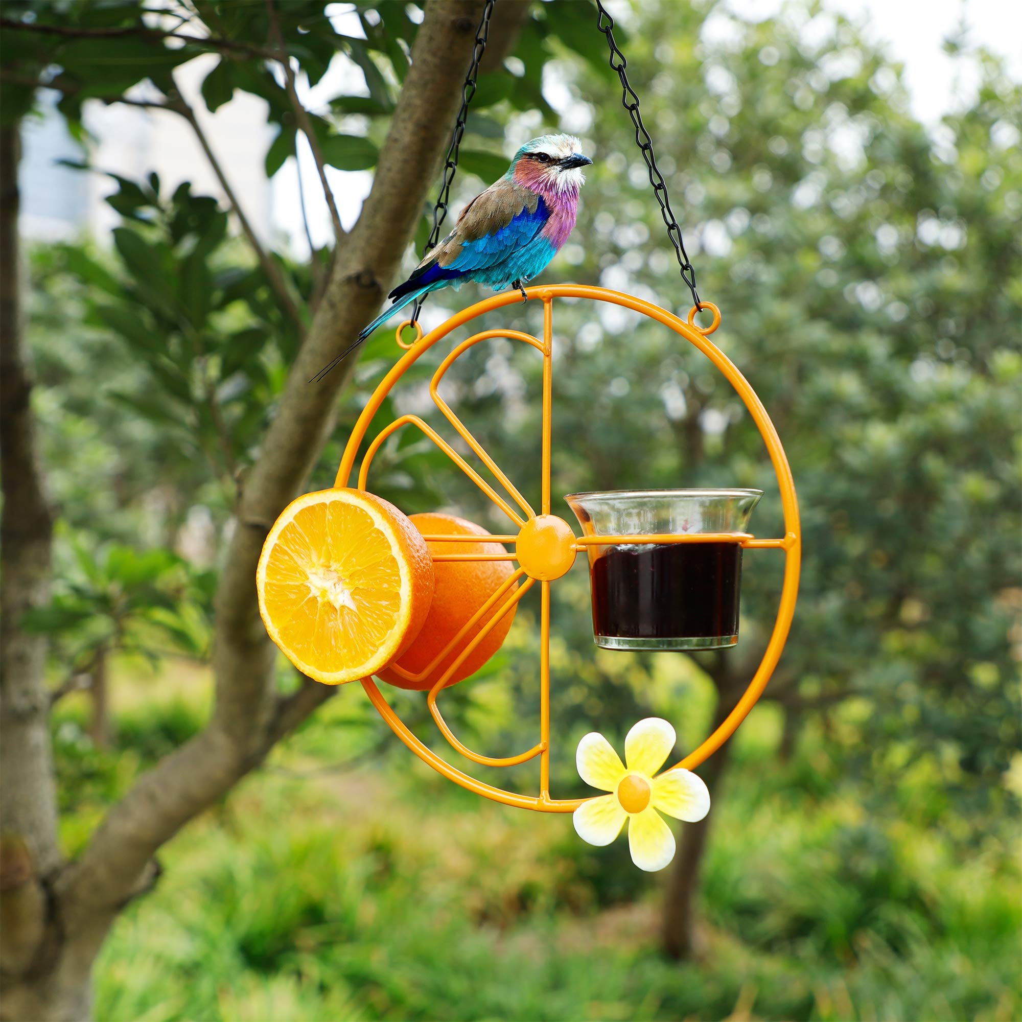 Forup Oriole Bird Feeder garden decor gift idea for bird lovers.
