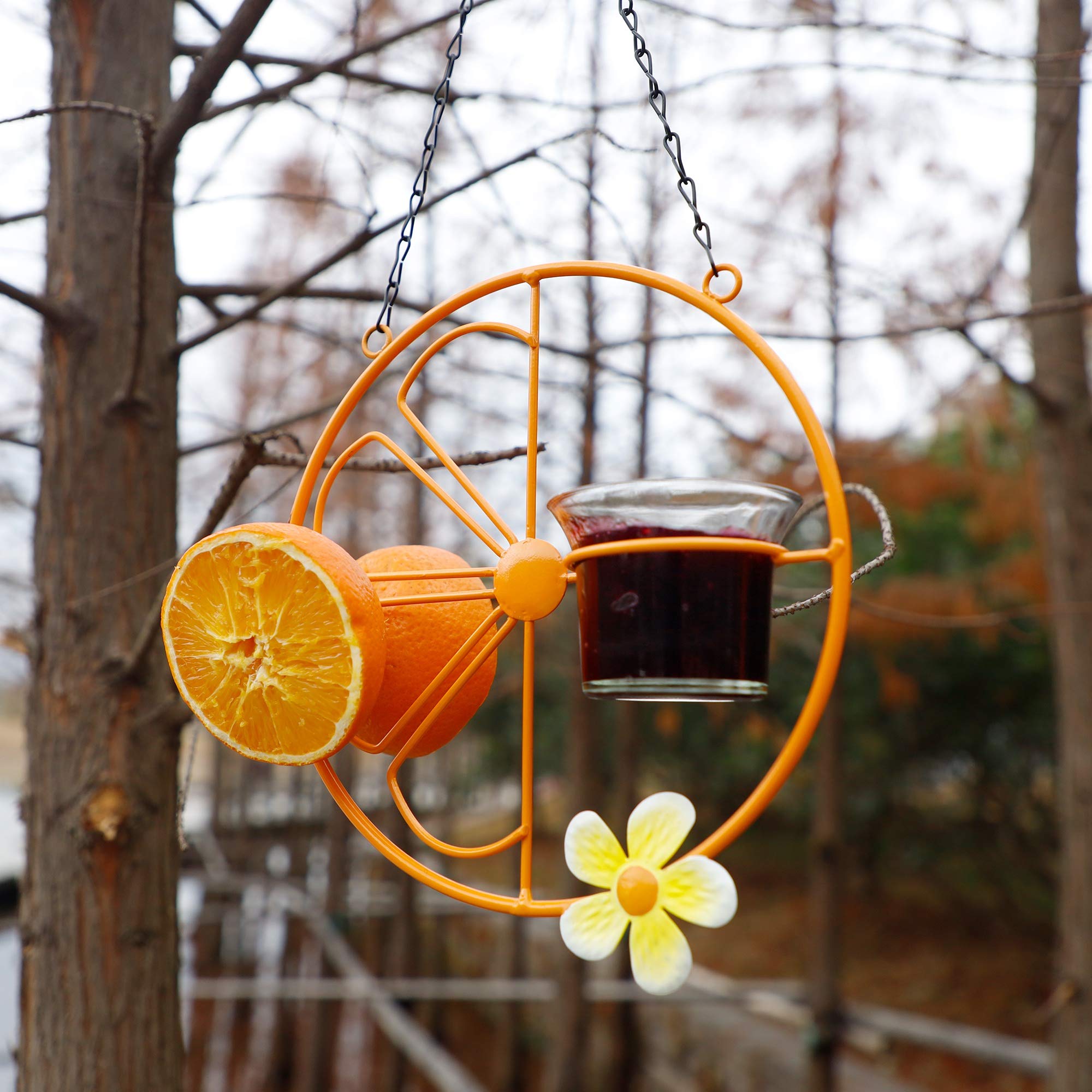 Forup Oriole Bird Feeder oranges and grape jelly offer diverse feeding options.