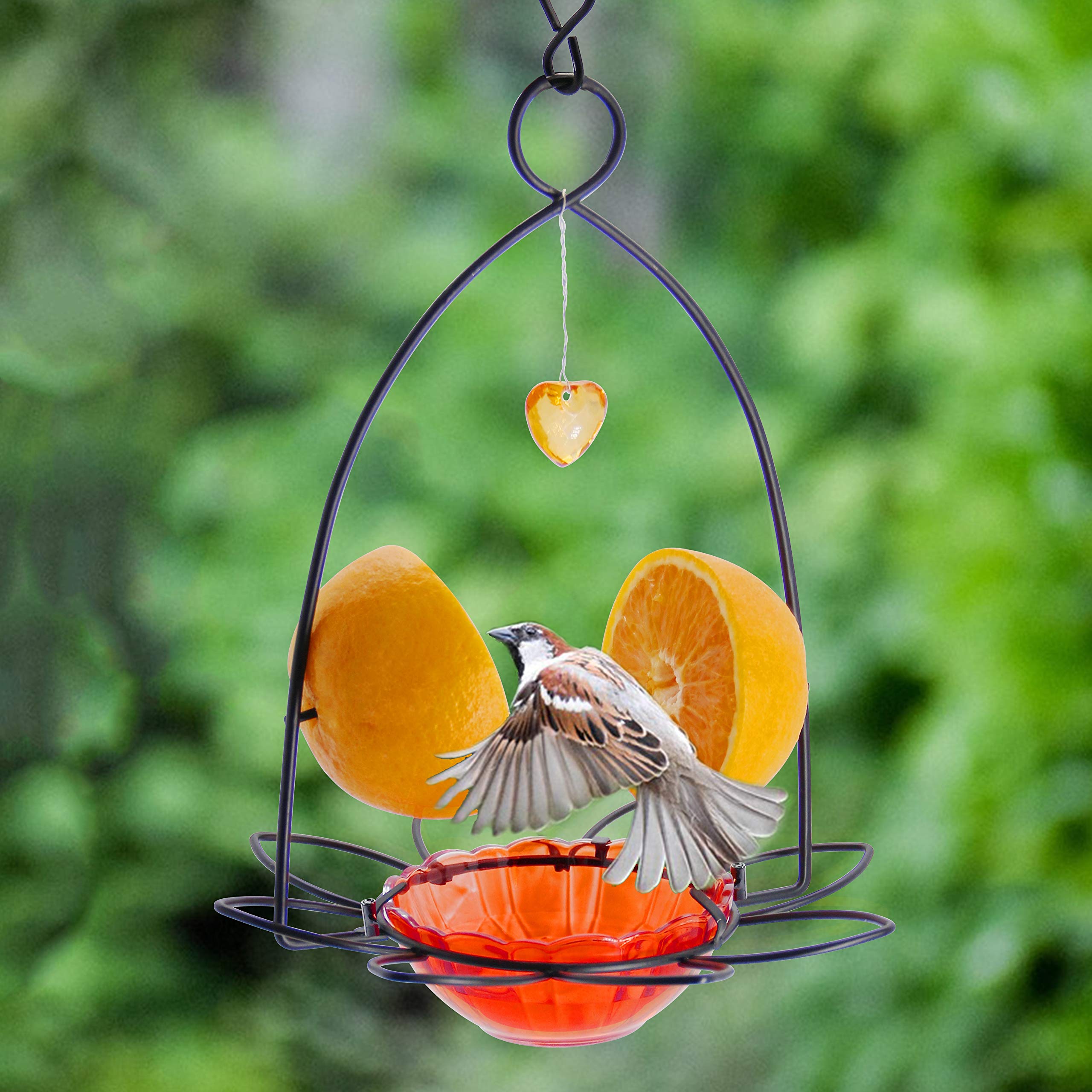 FORUP Oriole feeder 3 oz capacity supports small portions