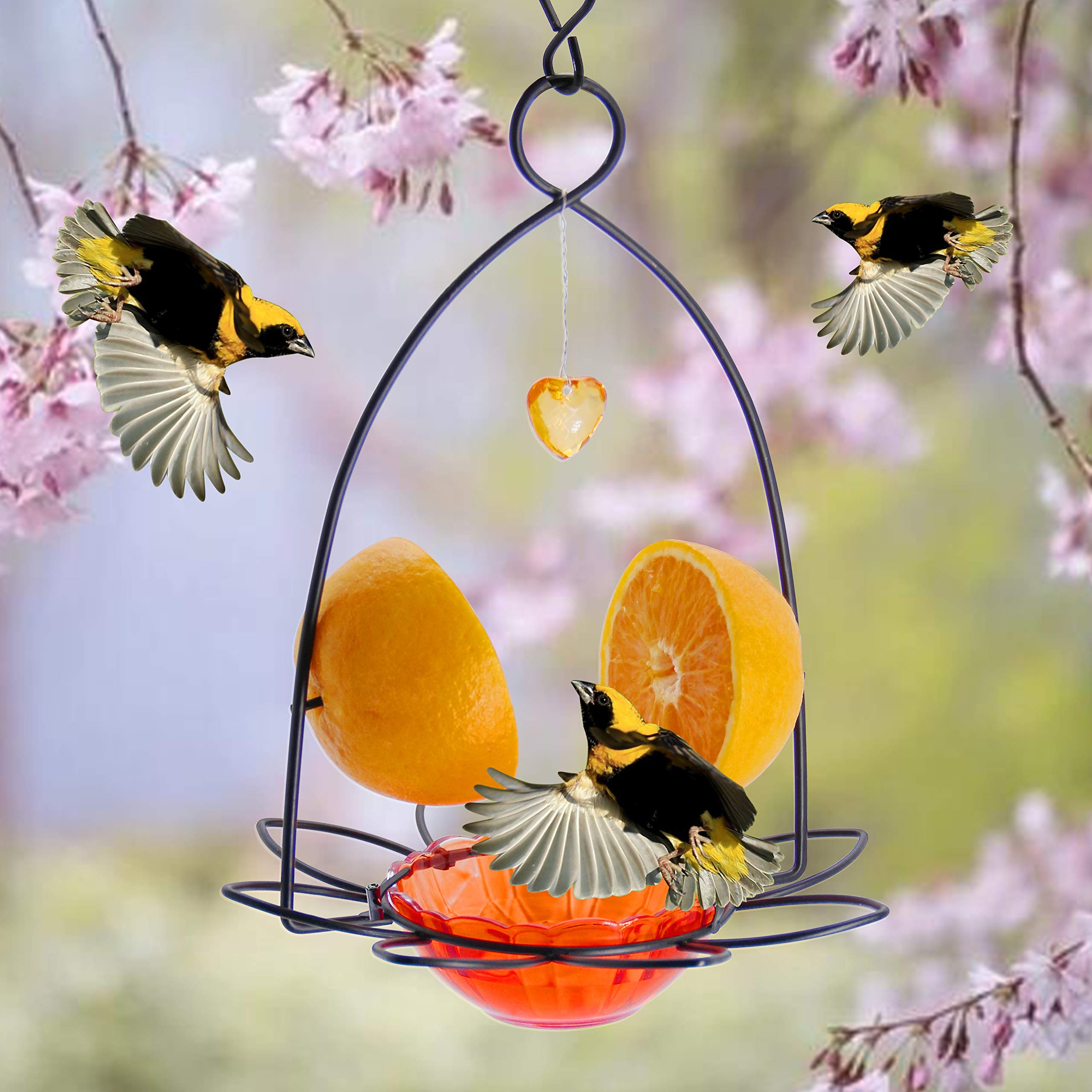 FORUP Oriole feeder colorful design enhances garden aesthetics