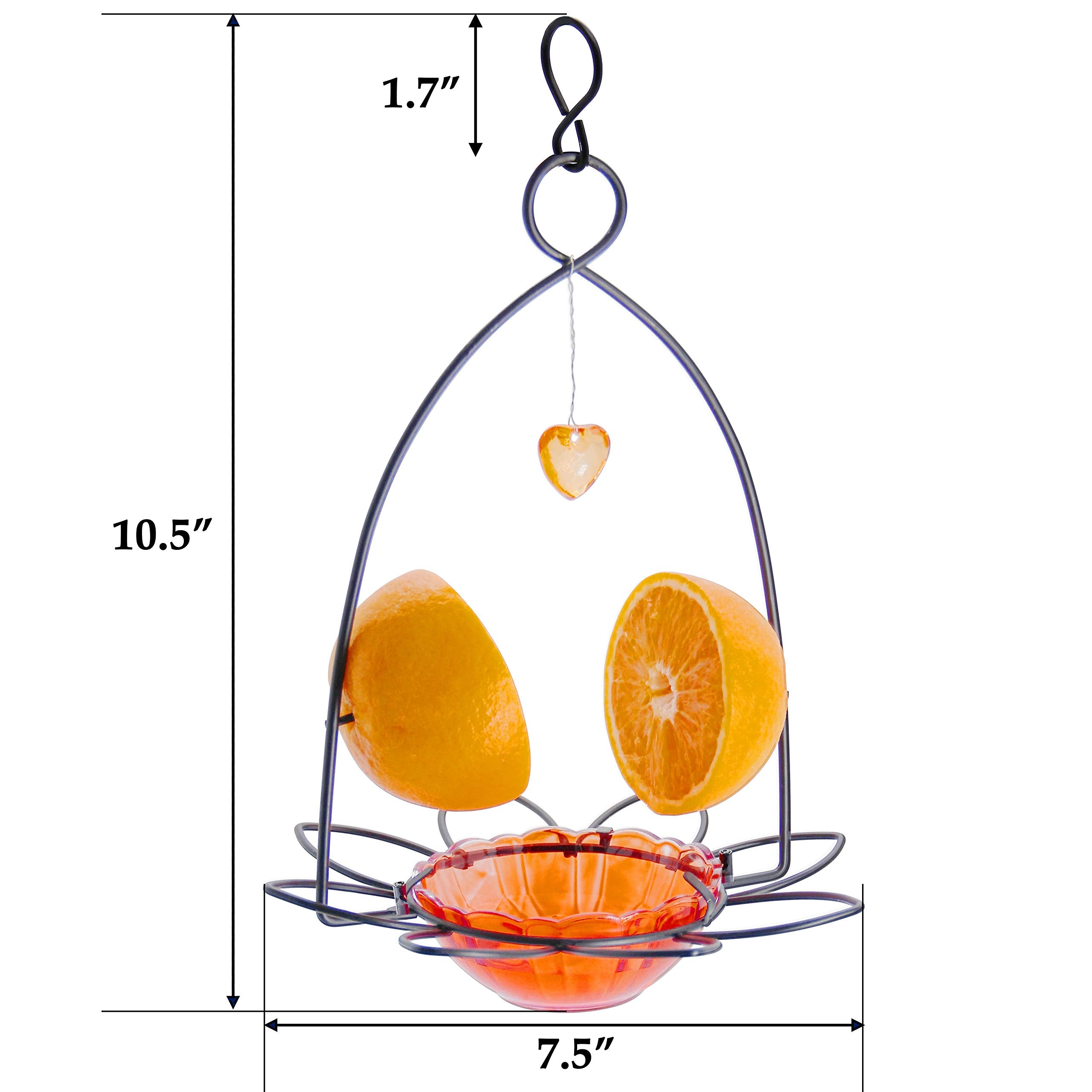 FORUP Oriole feeder with detached bowl for easy cleaning