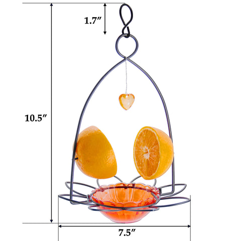 FORUP Oriole feeder with detached bowl for easy cleaning