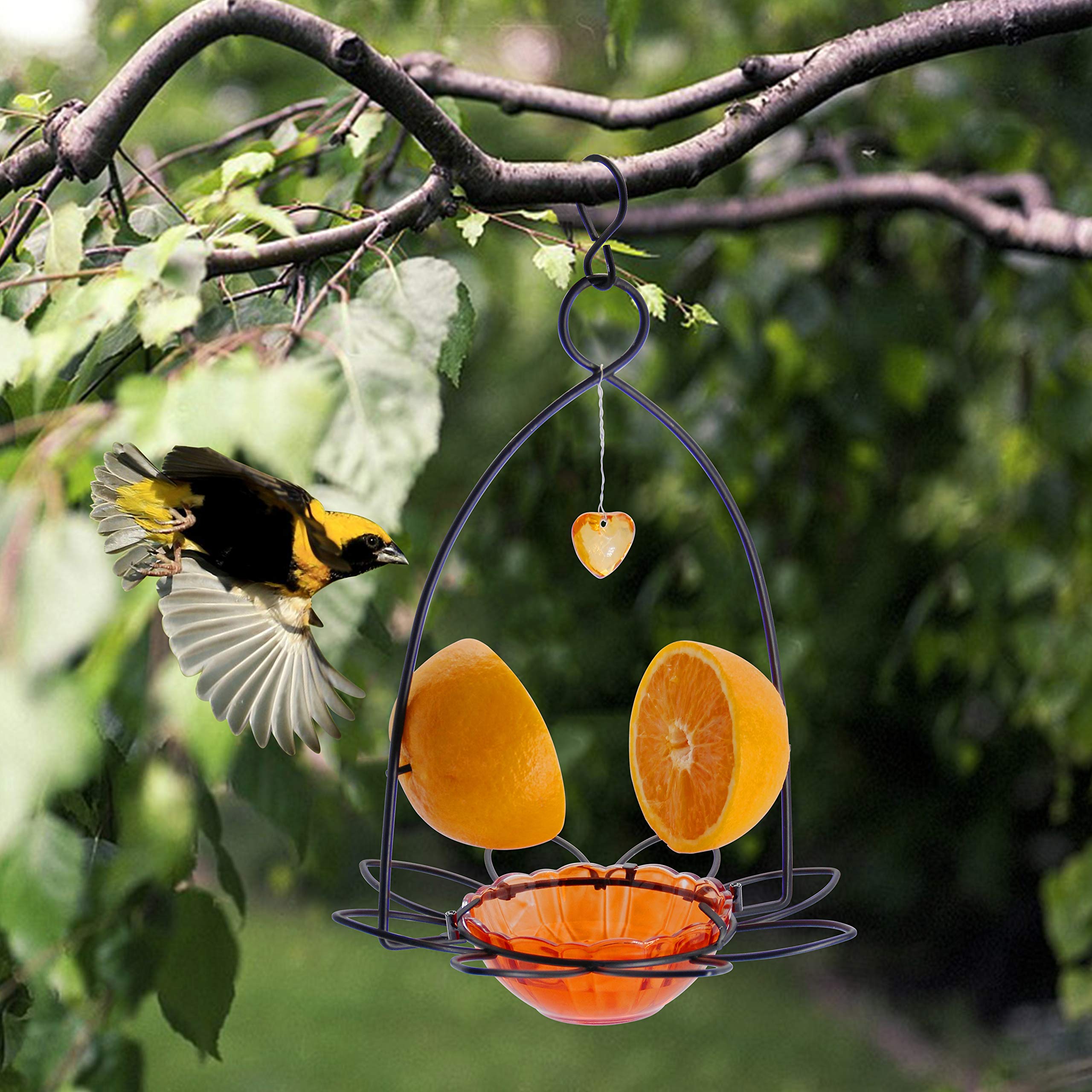 FORUP Oriole feeder in garden setup with visiting birds