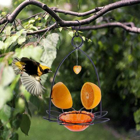 FORUP Oriole feeder in garden setup with visiting birds