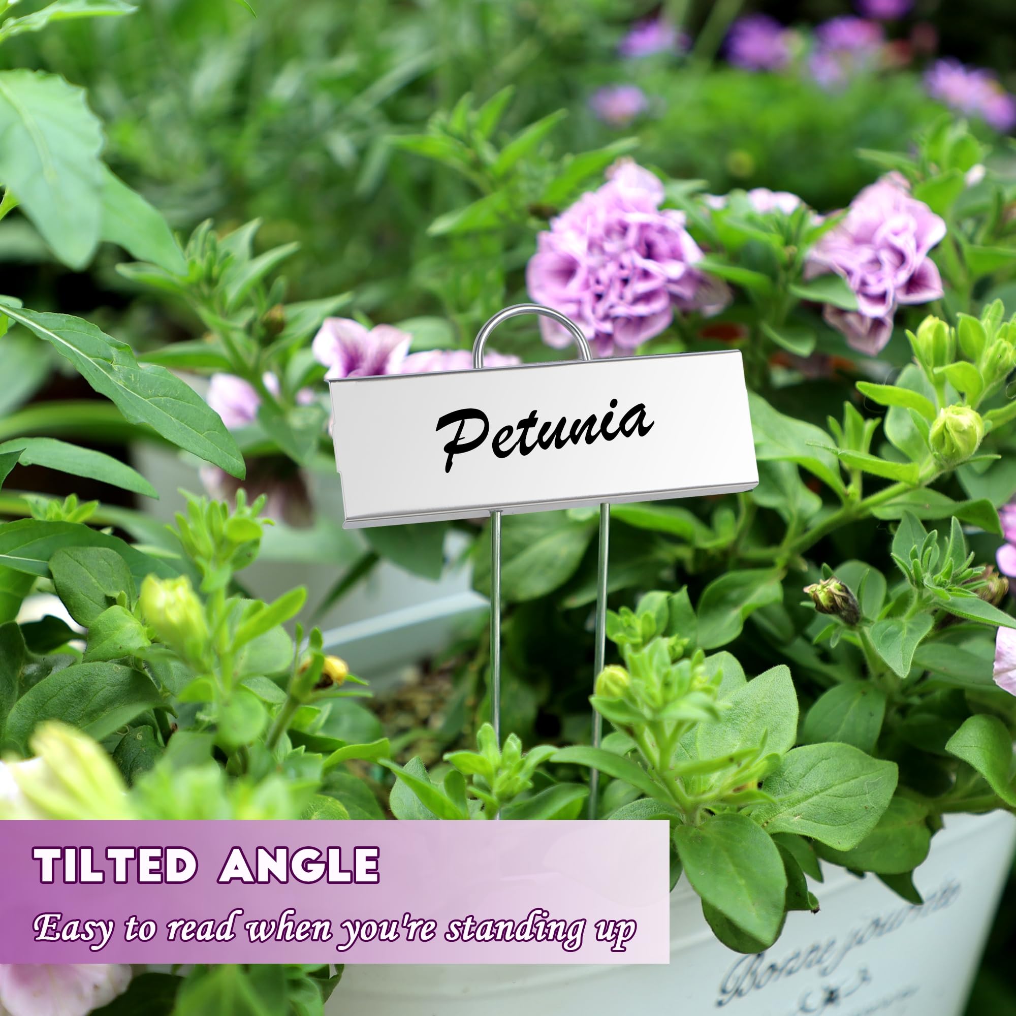 FORUP reusable garden signs with paint pen for season-to-season labeling