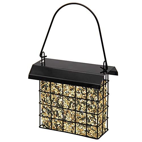 Forup suet feeder birds feeding demonstrates multiple birds at once.