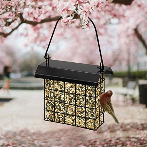 Forup suet feeder coated cable enables easy outdoor hanging.