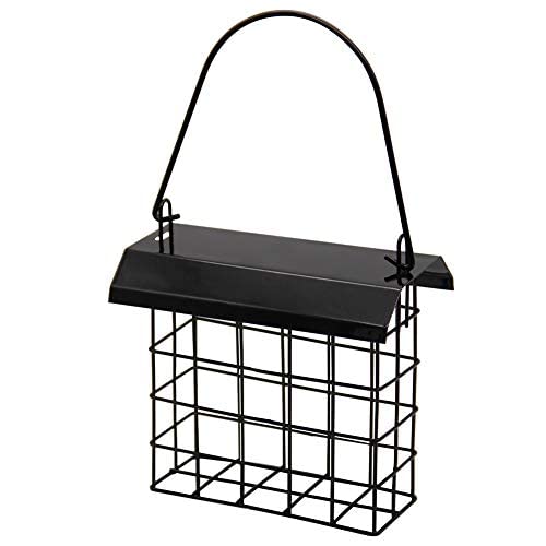 Forup suet feeder hanging shows a simple setup for attracting songbirds.