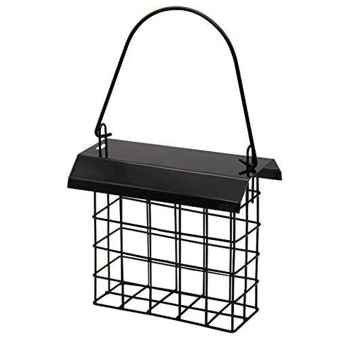 Forup suet feeder hanging shows a simple setup for attracting songbirds.