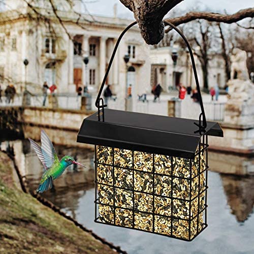 Forup suet feeder open case airflow keeps suet fresh in use.