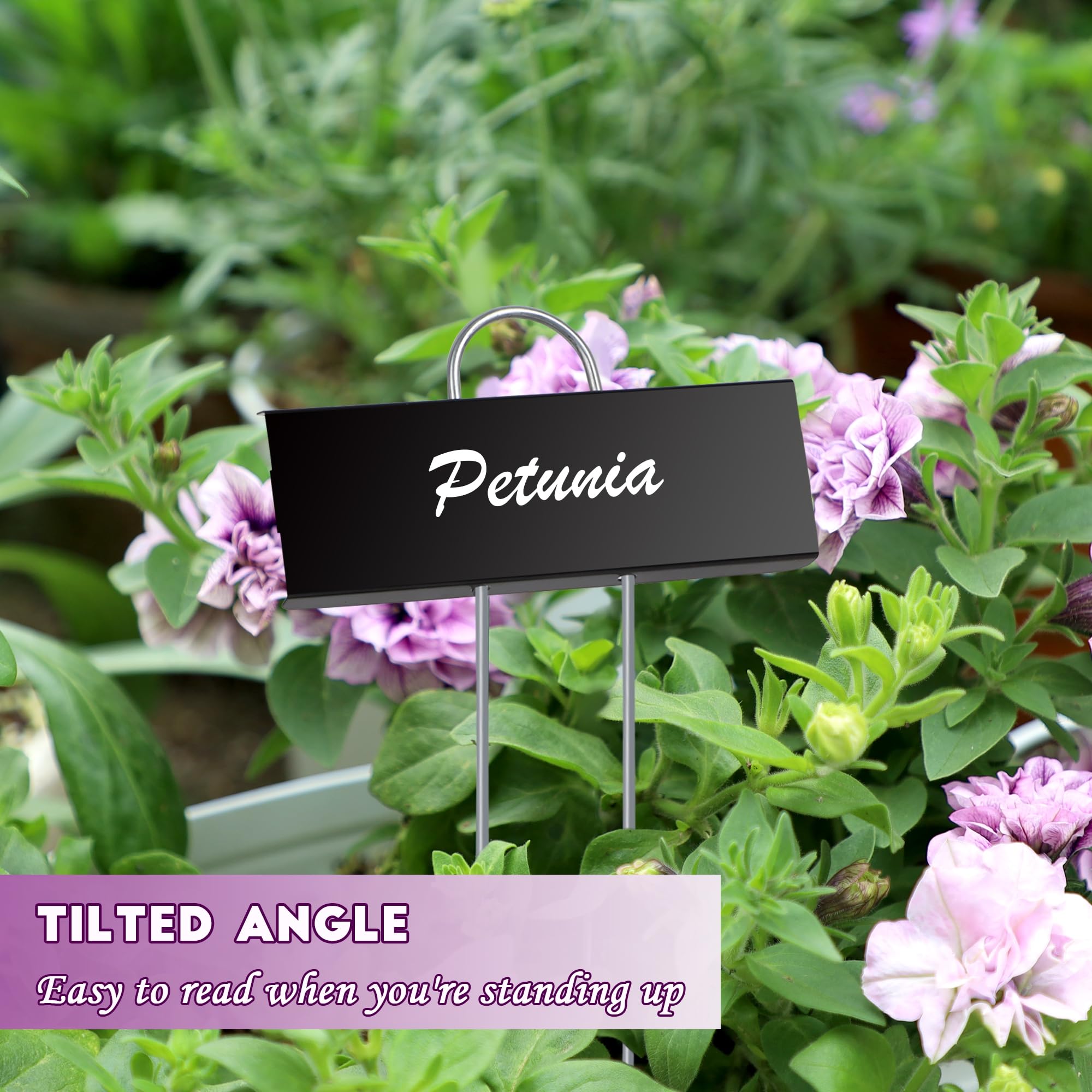 FORUP weatherproof garden signs that stay legible in sun and rain.