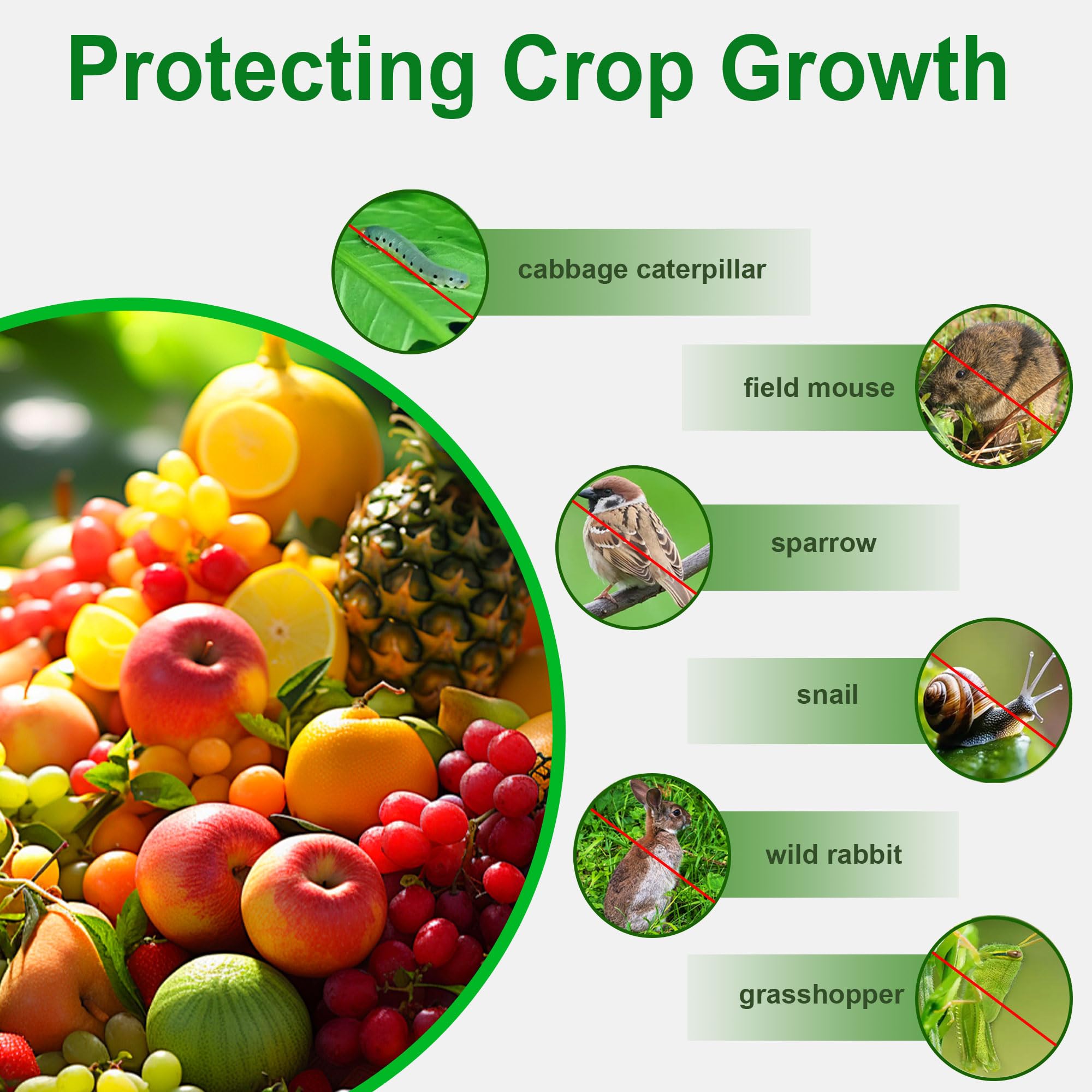 FOTMISHU garden netting made of durable HDPE protects vegetables from birds and pests