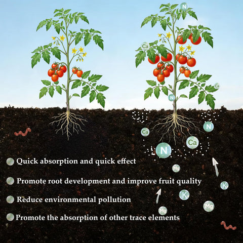 FOVGOTAN fertilizer on soil ready to boost root and leaf growth