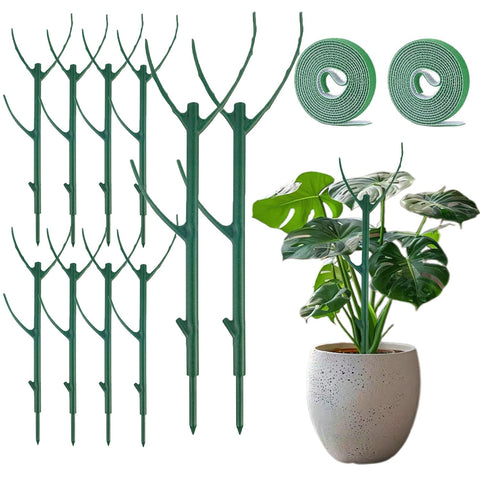 FOVGOTAN Monstera stake stackable 11-inch keeps climbing stems upright.