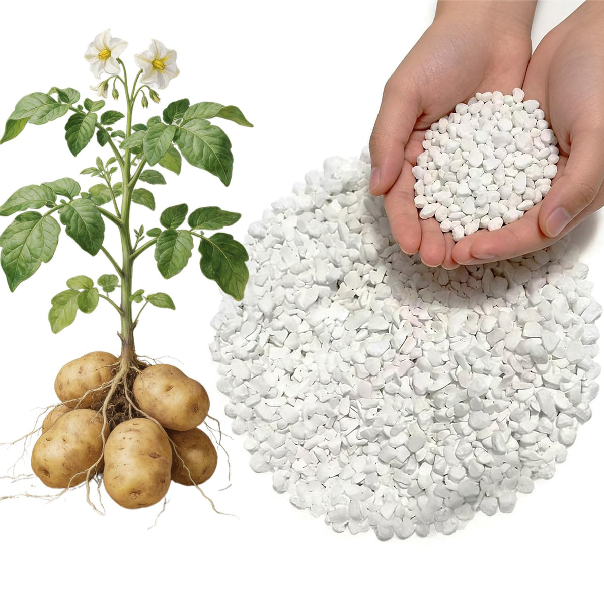 FOVGOTAN potash fertilizer bottle for easy indoor plant nutrition and growth