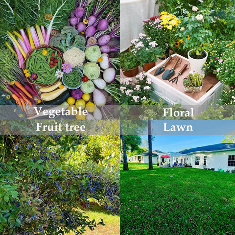 FOVGOTAN fertilizer supports flowering with vibrant color
