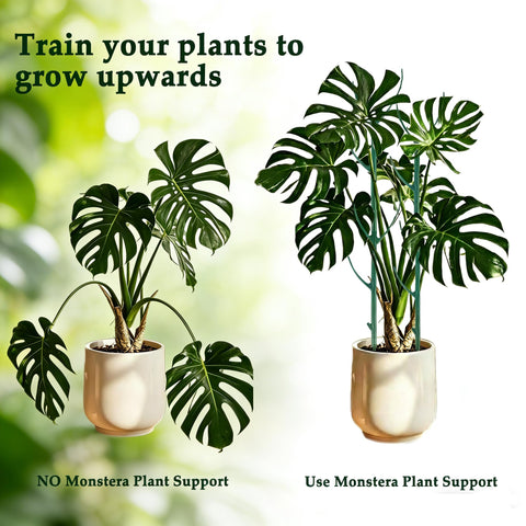 FOVGOTAN stackable stake adjustable height supports tall plants.