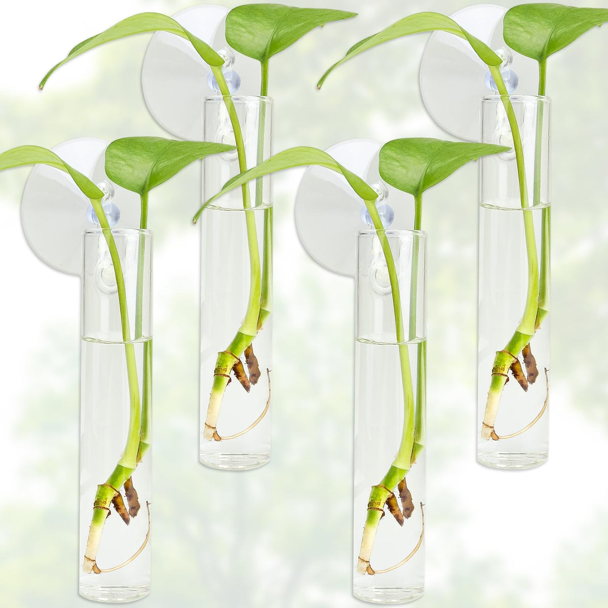 FOWSRHRG propagation station wall vase with suction cup for easy growth observation