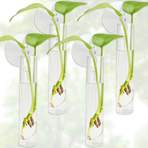 FOWSRHRG propagation station wall vase with suction cup for easy growth observation