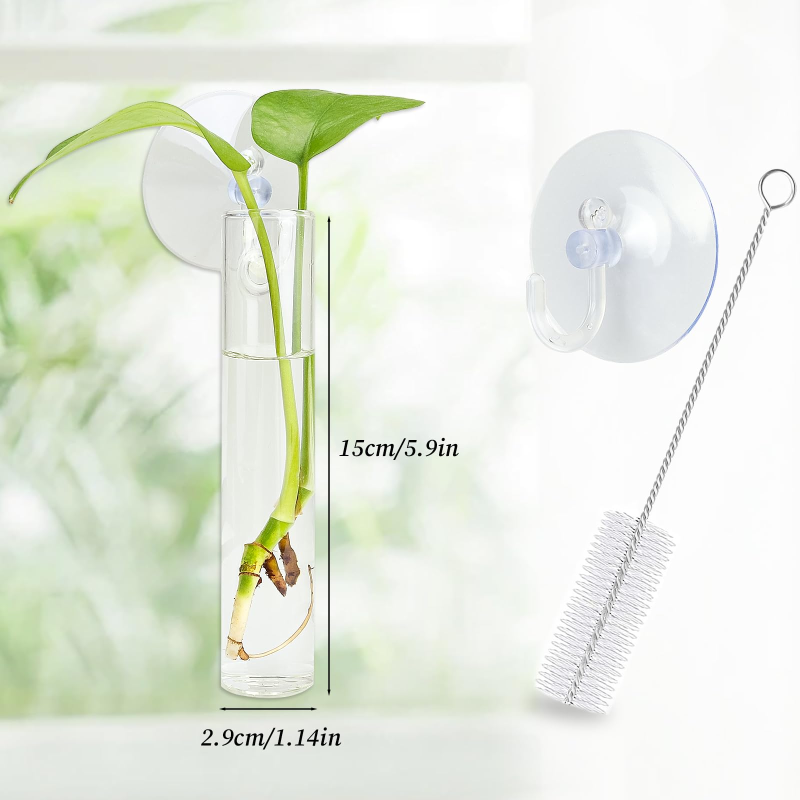 FOWSRHRG glass test tube propagation tubes show hydroponic setups clearly