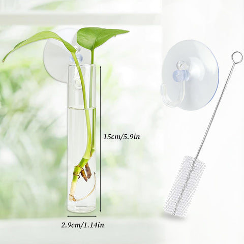 FOWSRHRG glass test tube propagation tubes show hydroponic setups clearly
