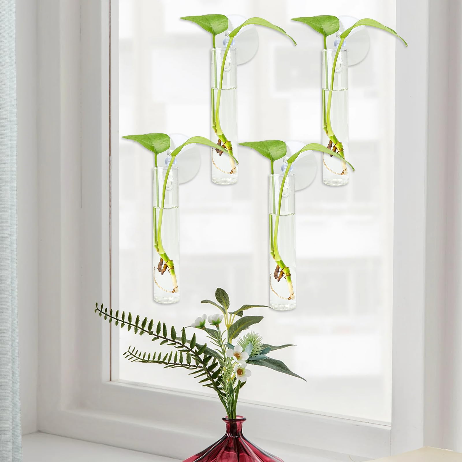 FOWSRHRG transparent wall vase set ideal for ivy and orchids